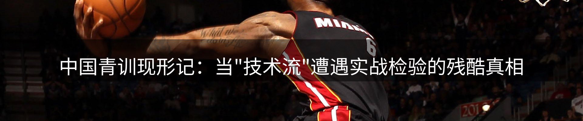网站资讯