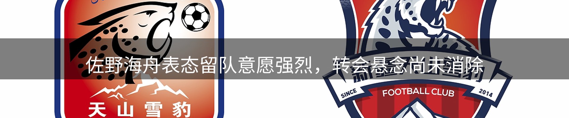 资讯趋势