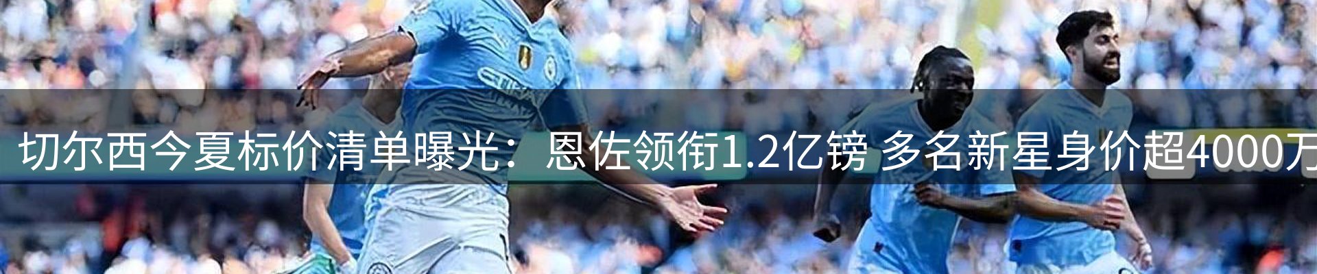 网站资讯