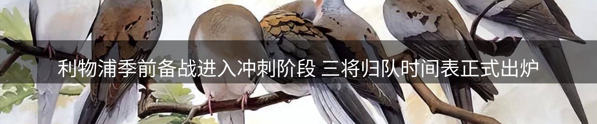 网站资讯