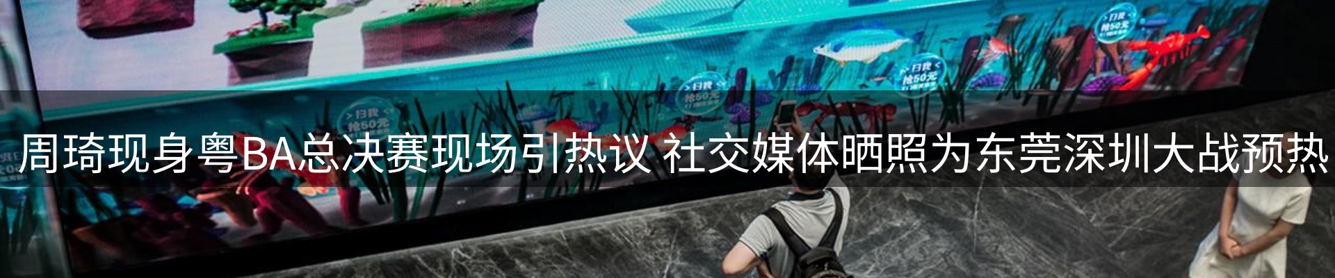 网站资讯