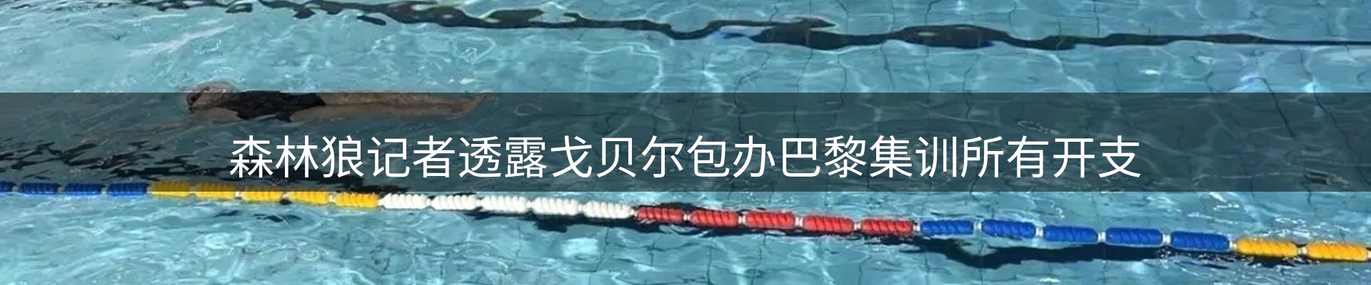 资讯趋势