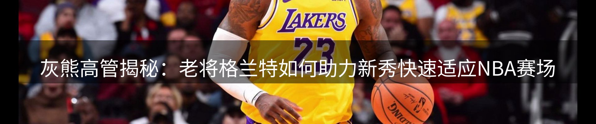 网站资讯