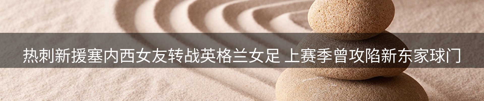 网站资讯