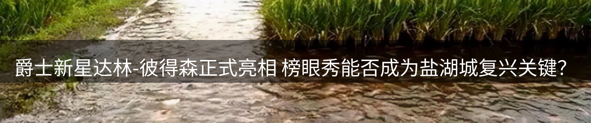 网站资讯