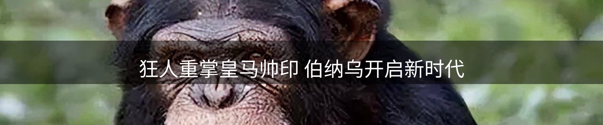 资讯趋势