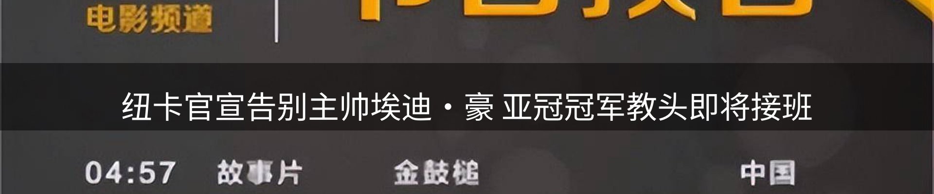 网站资讯
