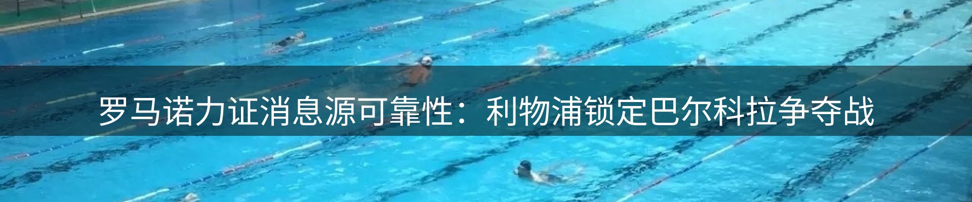 网站资讯