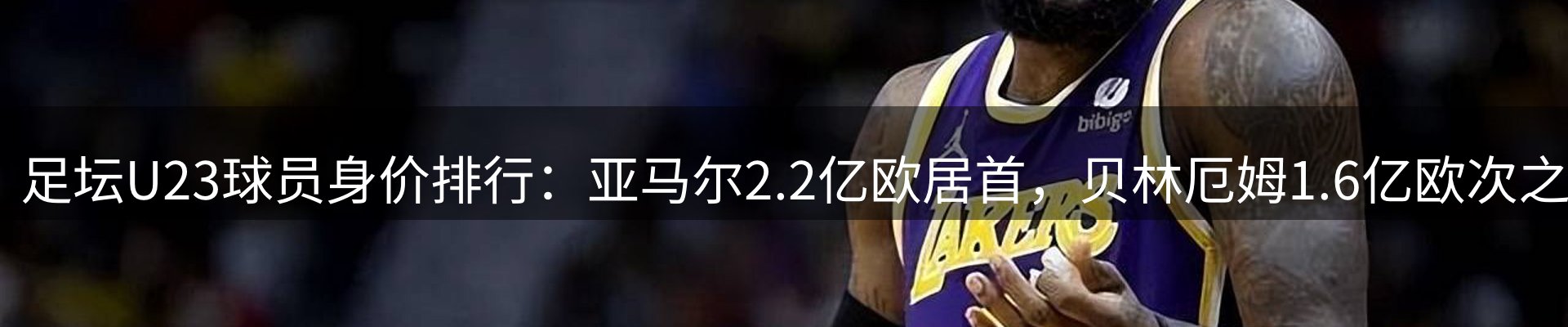 网站资讯