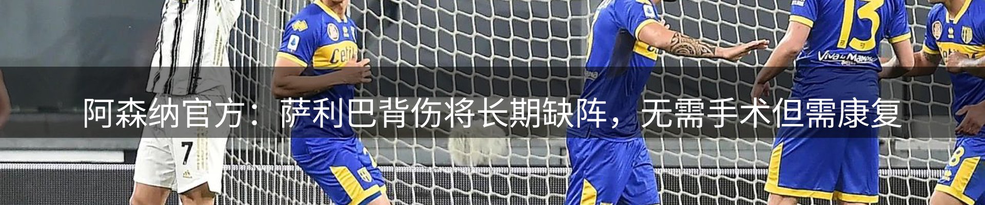 网站资讯