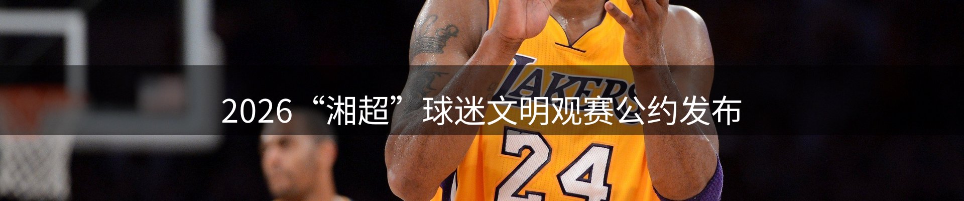 网站资讯